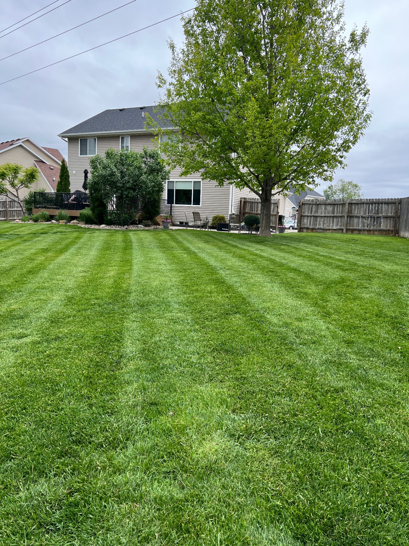 Perfectly striped large backyard showing mowing quality in Ankeny